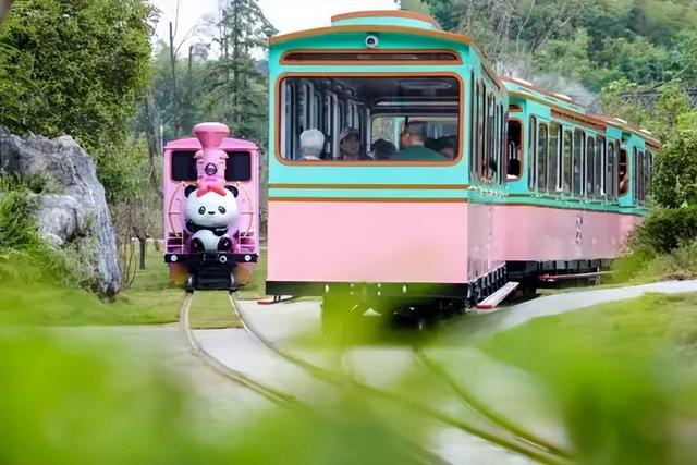 冬日竹海，限时特惠！淡季门票+超值年卡，承包一整年的美景