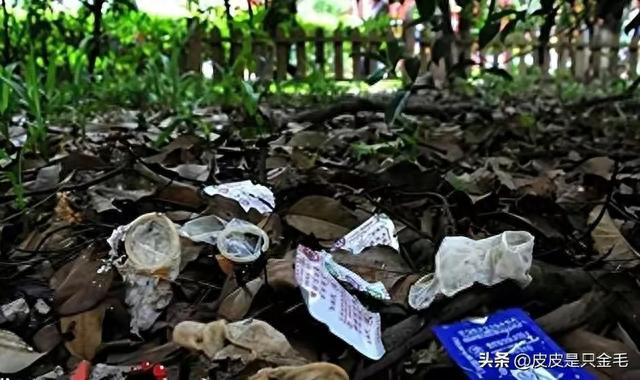 就地办事，小套套乱扔”，小树林成野战地，环卫工多次亲眼目睹！