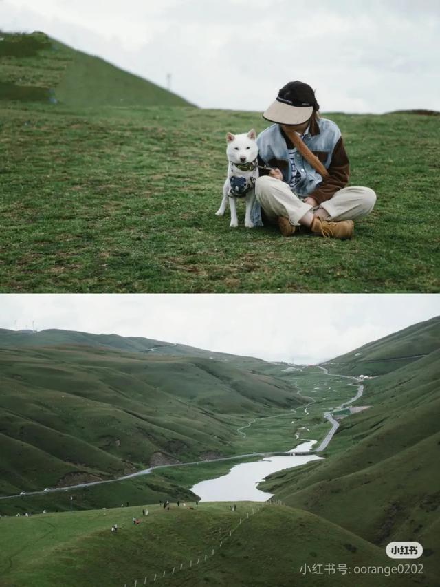 逃离高温！高铁直达22℃清凉之都，比六盘水凉快！草原惊艳瀑布奇绝，人均50吃到爽！