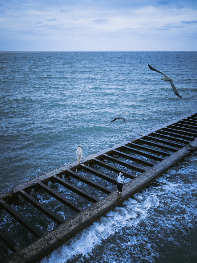为了这些照片，我专门来了一趟东营！