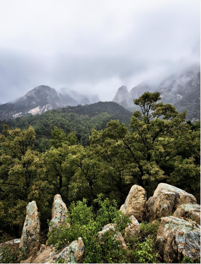 驴行信记：再攀“磨山顶”