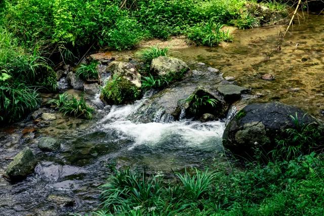 避暑天花板！去株洲阿勒泰解锁23℃的夏天