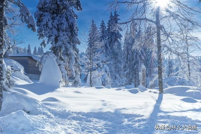 “冷不冷，看十月初一”，今日十月初一，今年冬天会十分寒冷吗？