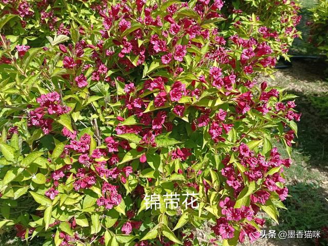 浐灞港务区半日游,顺路逛到临潼,然后坐火车回西安
