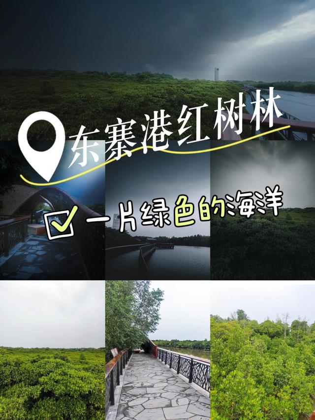 国庆长假去哪儿？江浙沪这条神仙自驾线火了！