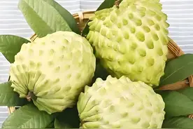 释迦果:唯一能吃到几种味道的水果之王图片