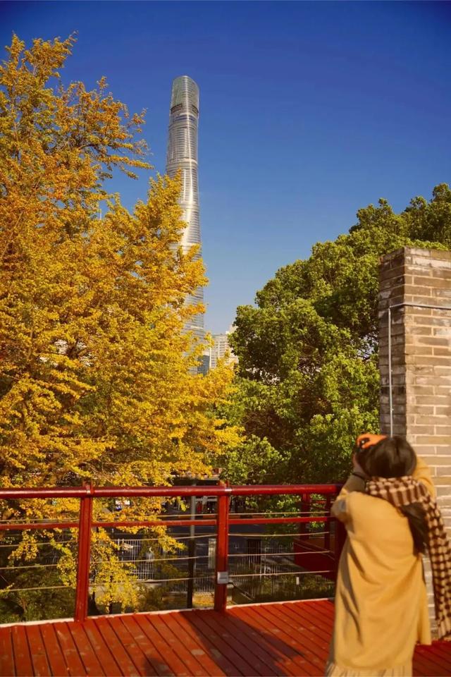 上海市中心又一公园拆除围墙！24小时开放！内藏明城墙和宝藏机位！怎么还有个“灶披间”？