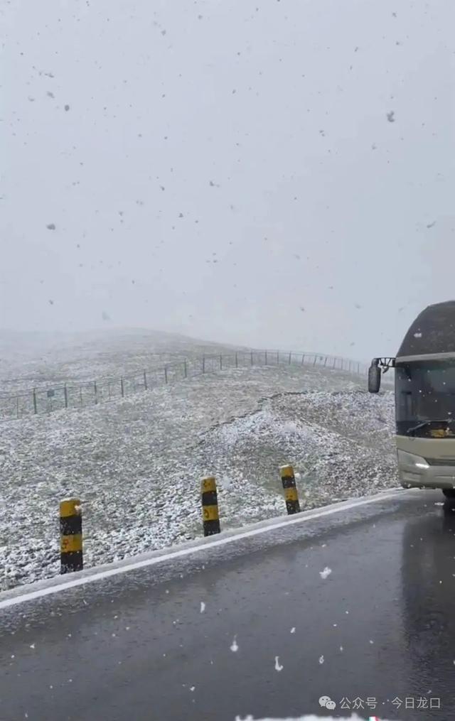 一地突降鹅毛大雪！龙口接下来的天气…