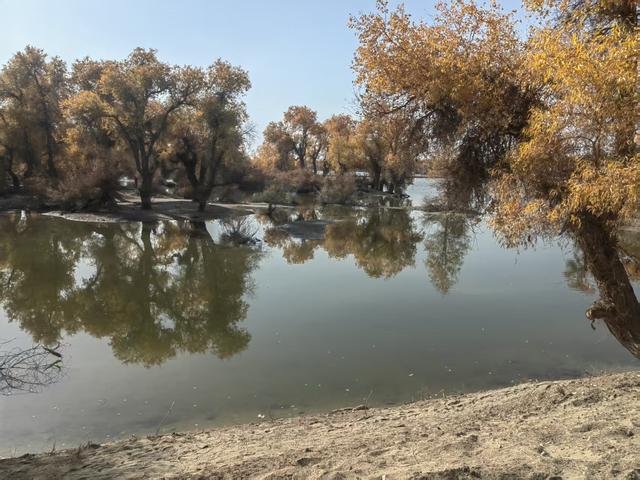 戈壁邂逅盛景 陕建燃情筑梦