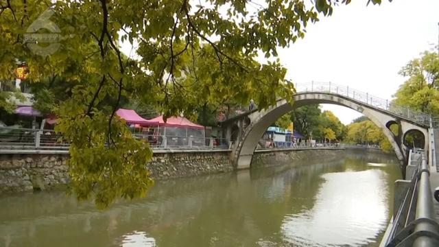 冬天的昆明，盛满了温柔的金黄色