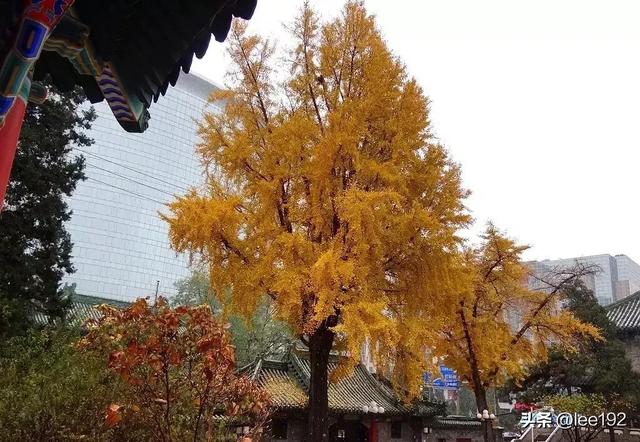 细赏王府之—豫亲王府（协和医学院）（37）《2》