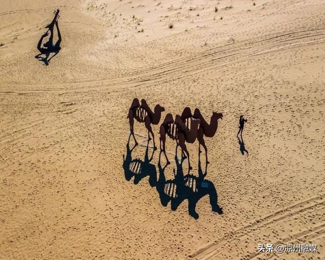 2026年来武威，这份时间表请收好！