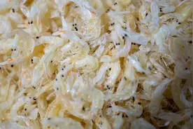 你家里还在吃虾皮吗？一个老渔民告诉我的，快点告诉家里人吧图片