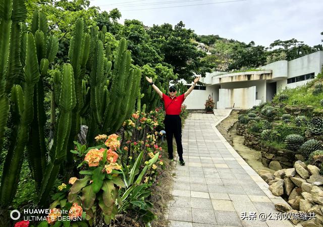 游览漳州开发区，临港新城风华起，双鱼岛上观景奇：留束剪影集！