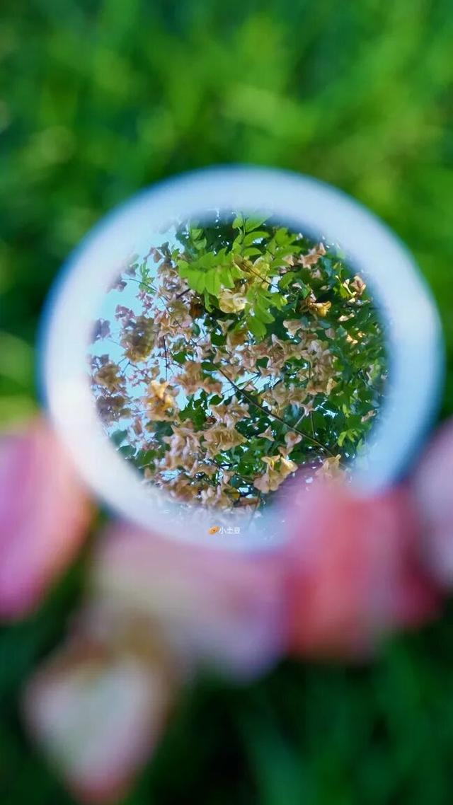 不上班的随州人，最近都去哪儿了？