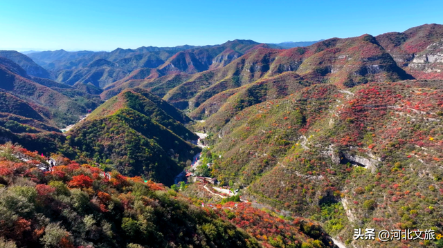 赏红叶・听秋水・颂英魂！河北涉县庄子岭，藏着太行动人的秋