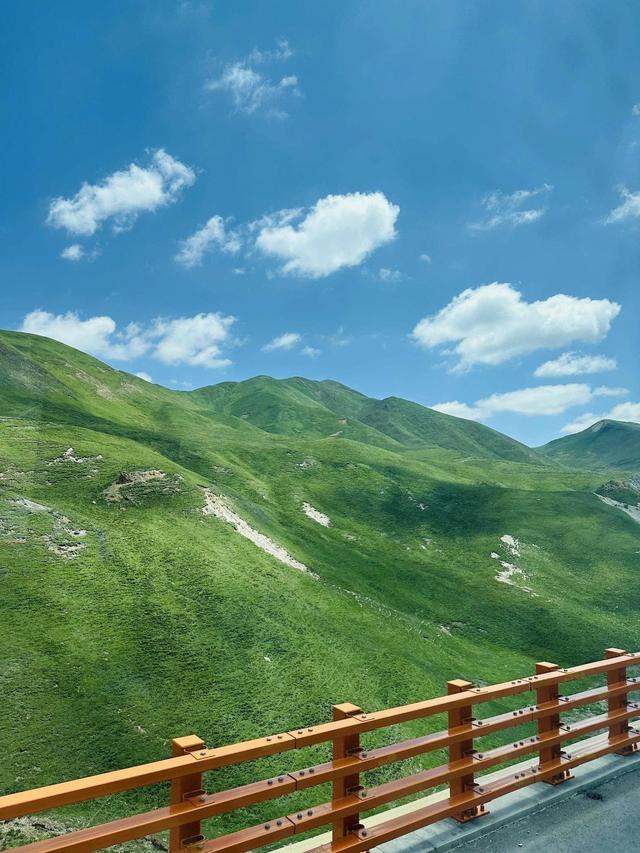 青海祁连草原：90%游客踩过这4个坑，有人白花1800，现在看还不晚