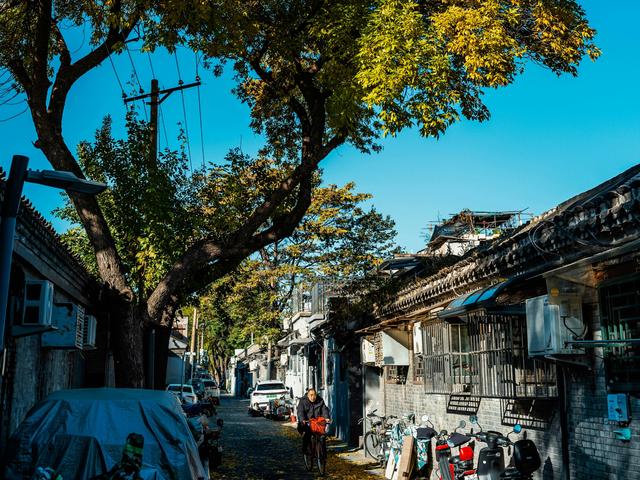 瞭新社丨从意大利到北京，探寻胡同“慢生活”