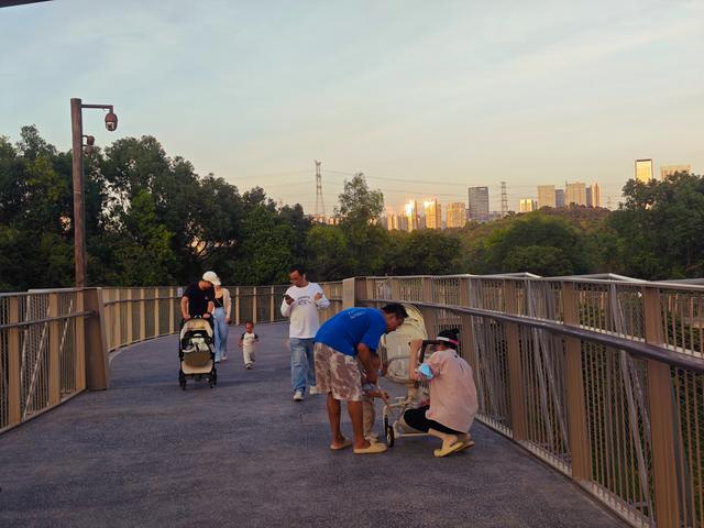 西丽湖国际科教城绿道，看霞飞满天，如梦似幻！长岭陂地铁C口