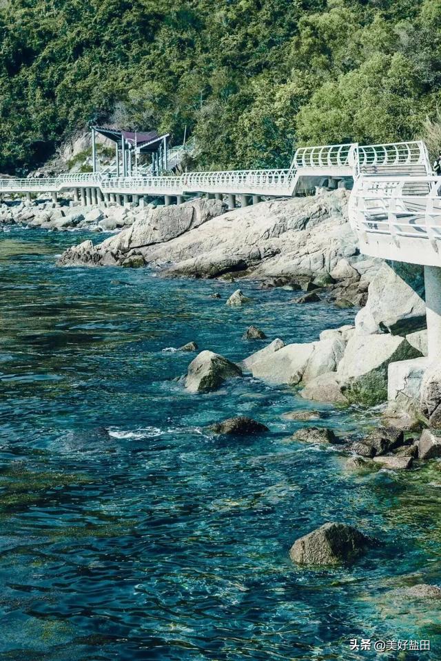 反向旅游，你不知道深圳的海有多绝