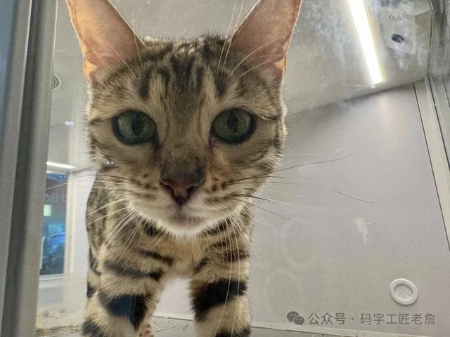 走进大吉巷