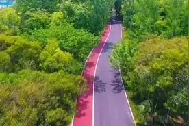 出发！跟着记者赏遍“2024上海女子半马”沿途美景图片