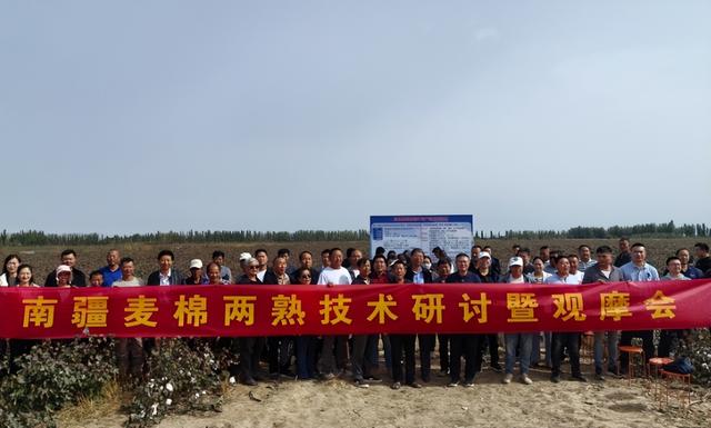 新疆11月6日资讯