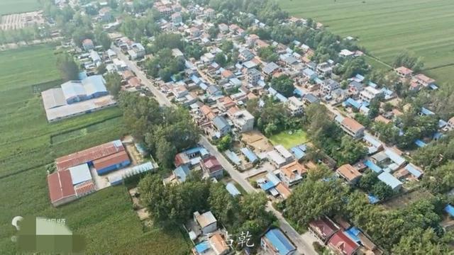 魅力曹县楼庄镇