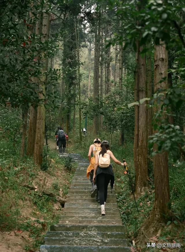 全部免费！解锁长沙10条山林徒步路线