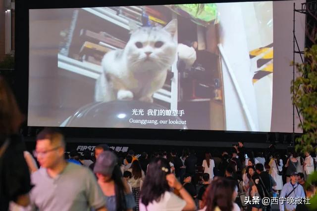 西宁的凉爽和美食让人印象深刻