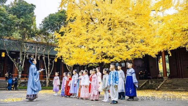 爆料！除了赏银杏，罨画池还有这些玩法~