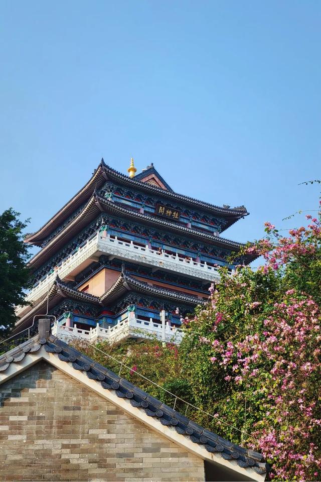 惠州的美好，藏不住了！！！