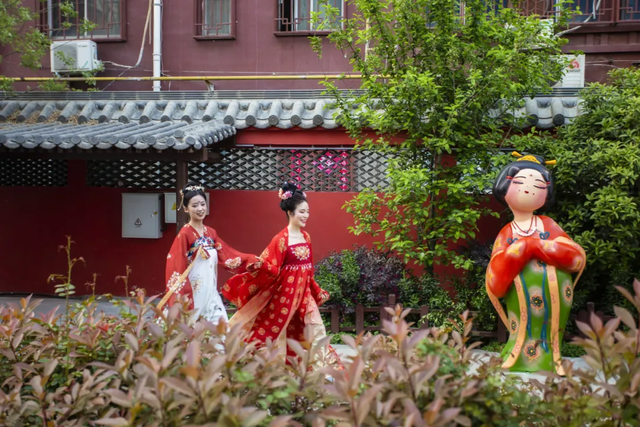 趁天晴出发！洛阳这片杉林红了！无需门票…