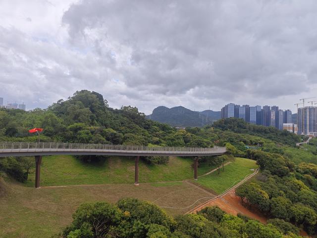 西丽湖国际科教城绿道高清随拍