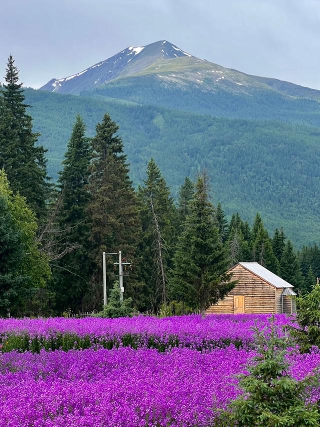 世界上只有中国新疆阿勒泰地区才有的全球 “独一无二的8大奇景”