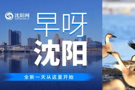今日最低温度-10℃！新一股冷空气来了！下周气温持续偏低……| 早呀，沈阳！图片