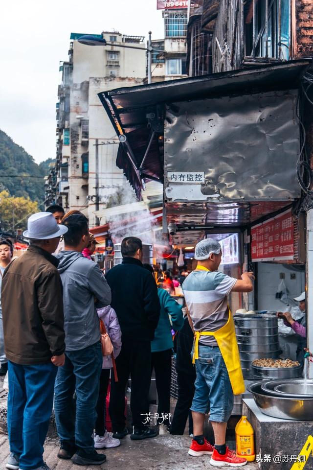 为了一只猴子！我从武汉跑去了贵阳！黔灵山的魅力不止是有猴子