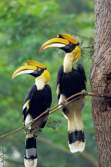 携台湾亲朋自驾游滇西南之十一