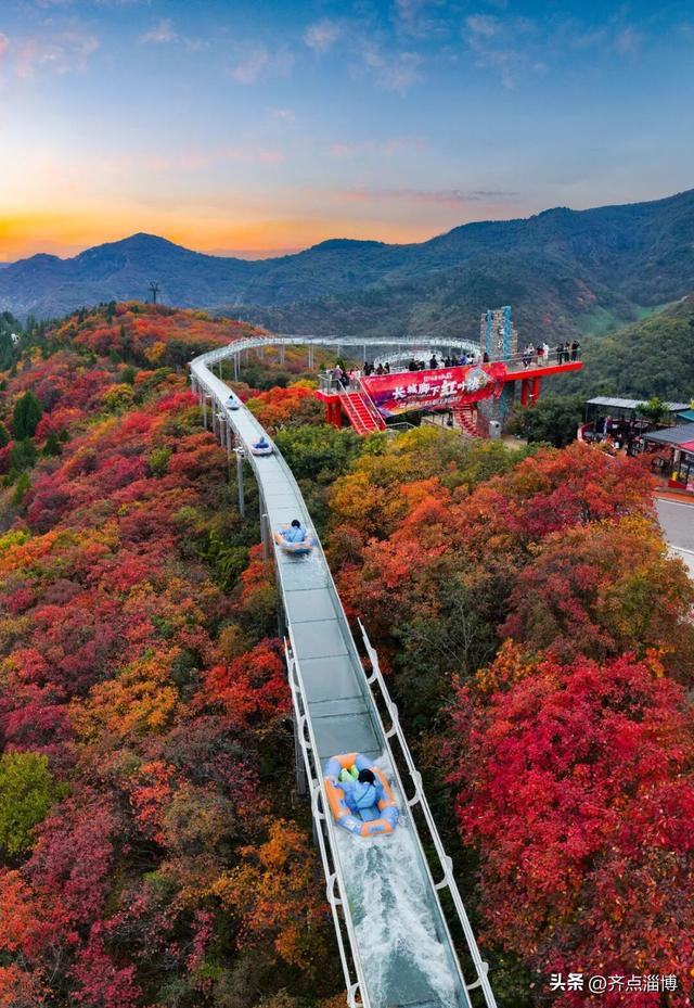 最佳赏红期已至——红叶柿岩开启“全红模式”！