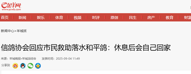 九三阅兵结束后的“小意外”！信鸽走失几十只，北京网友开启偶遇
