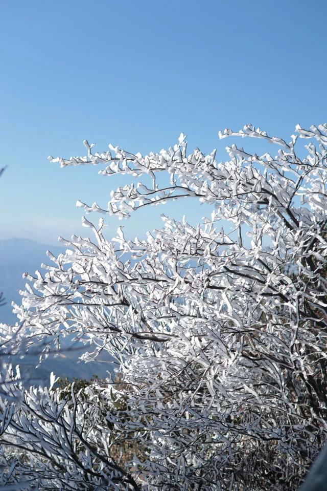 大寒雪落灵山！冬日限定美景已陆续上线