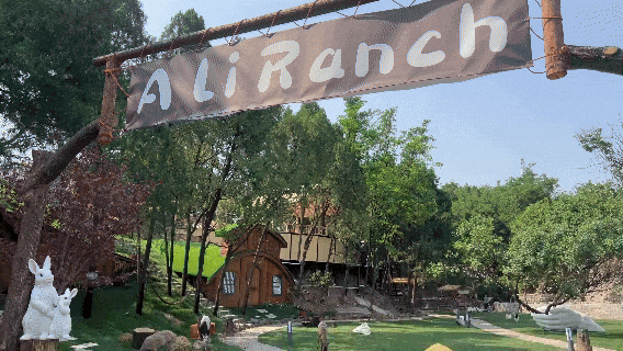 淄博版“疯狂动物城”来了！网红萌宠已就位，快来当一日“荣誉市民”→