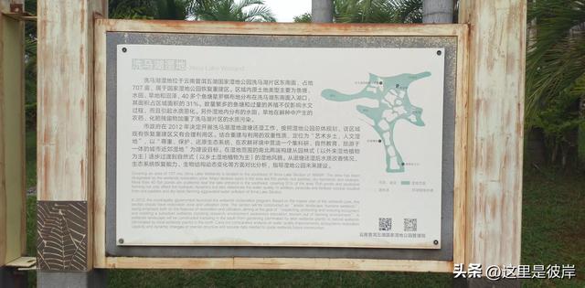普洱五湖国家湿地公园