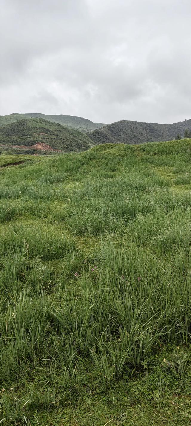 马蹄寺千佛洞旅游文化景区。