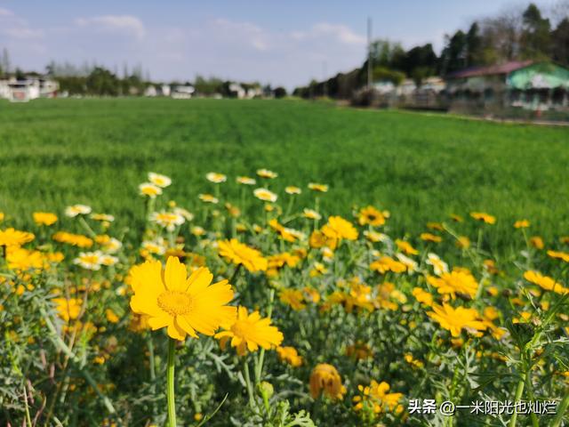 不负春光，让周末更有意义