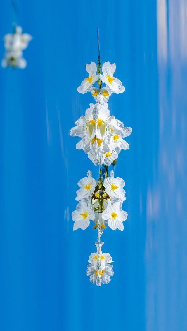 大理之蓝，蓝得让人心碎