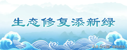 藏不住了！十堰，竟还是一座“全球博物馆”