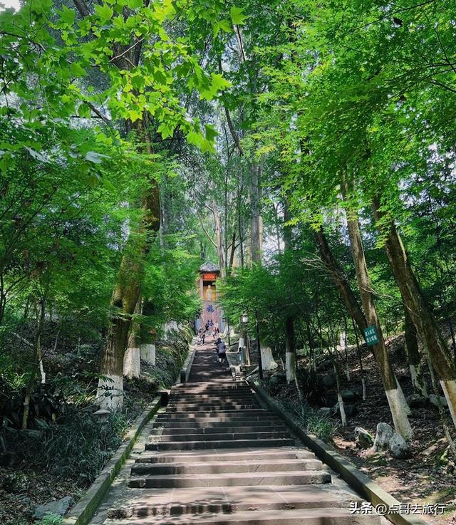 成都周边可乘凉的寺庙，占据绝对优势，25度左右的夏天，不要门票