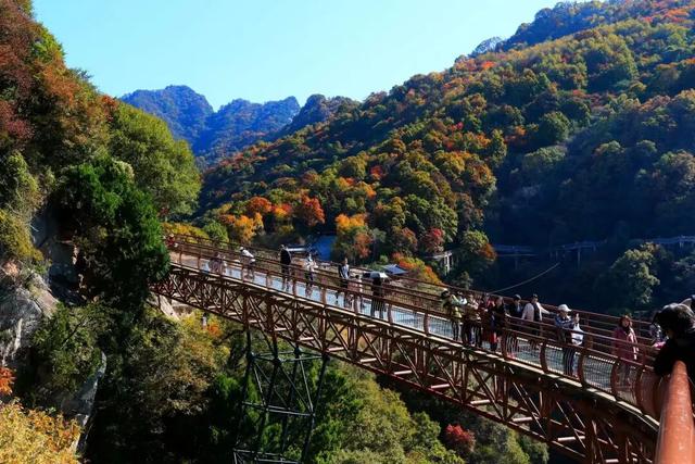 还能去哪儿赏最后一波秋色……