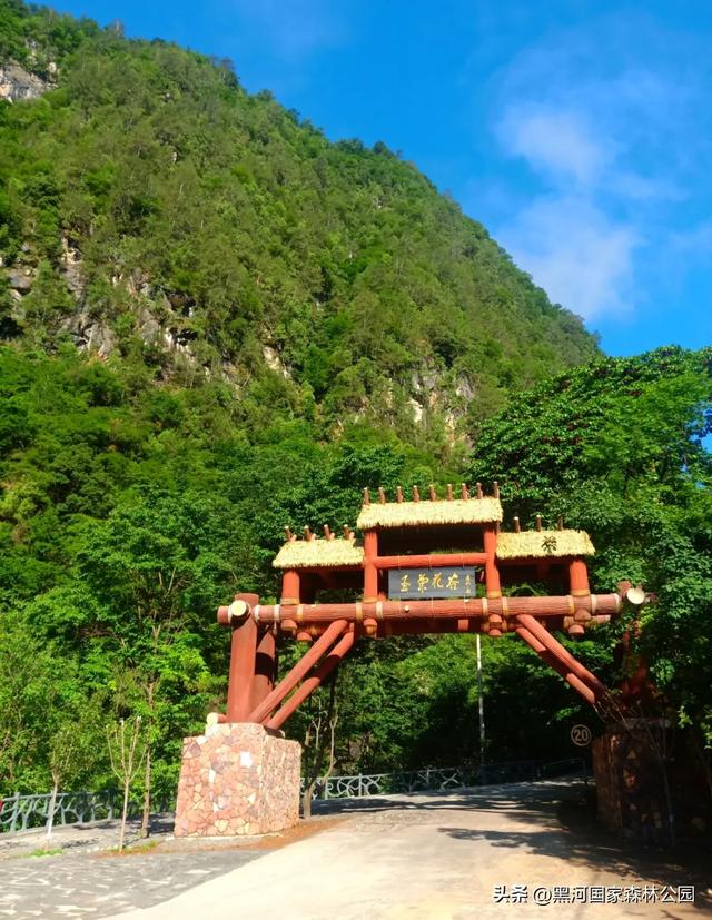 西安周边避暑天花板！凉快10℃的宝藏地！